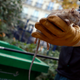 Image for article titled Rat Version of Hepatitis E Detected in a Human for the First Time